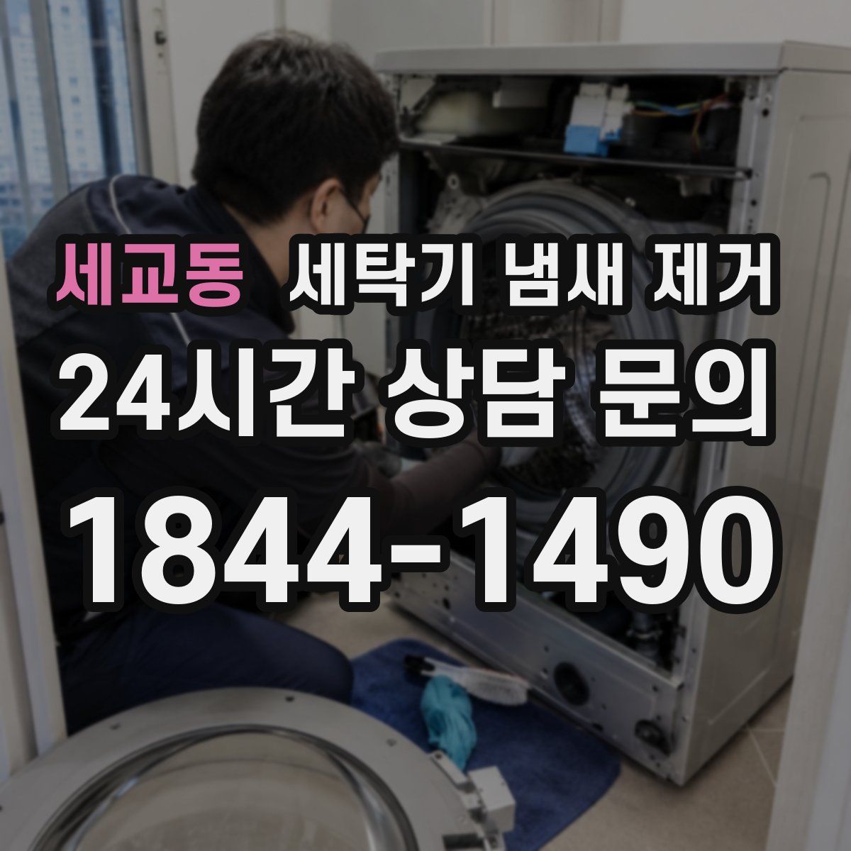 세교동 세탁기 냄새 제거