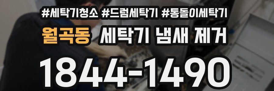 월곡동 세탁기 냄새 제거