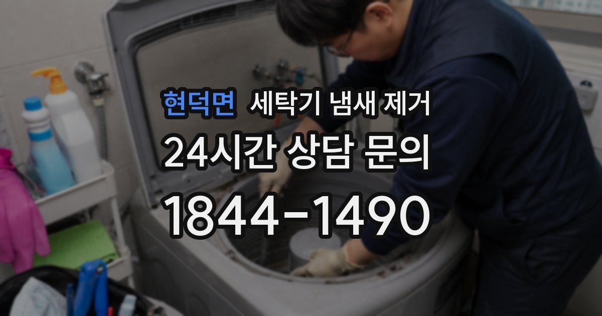 현덕면 세탁기 냄새 제거