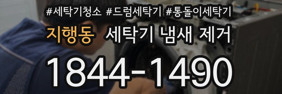 지행동 세탁기 냄새 제거