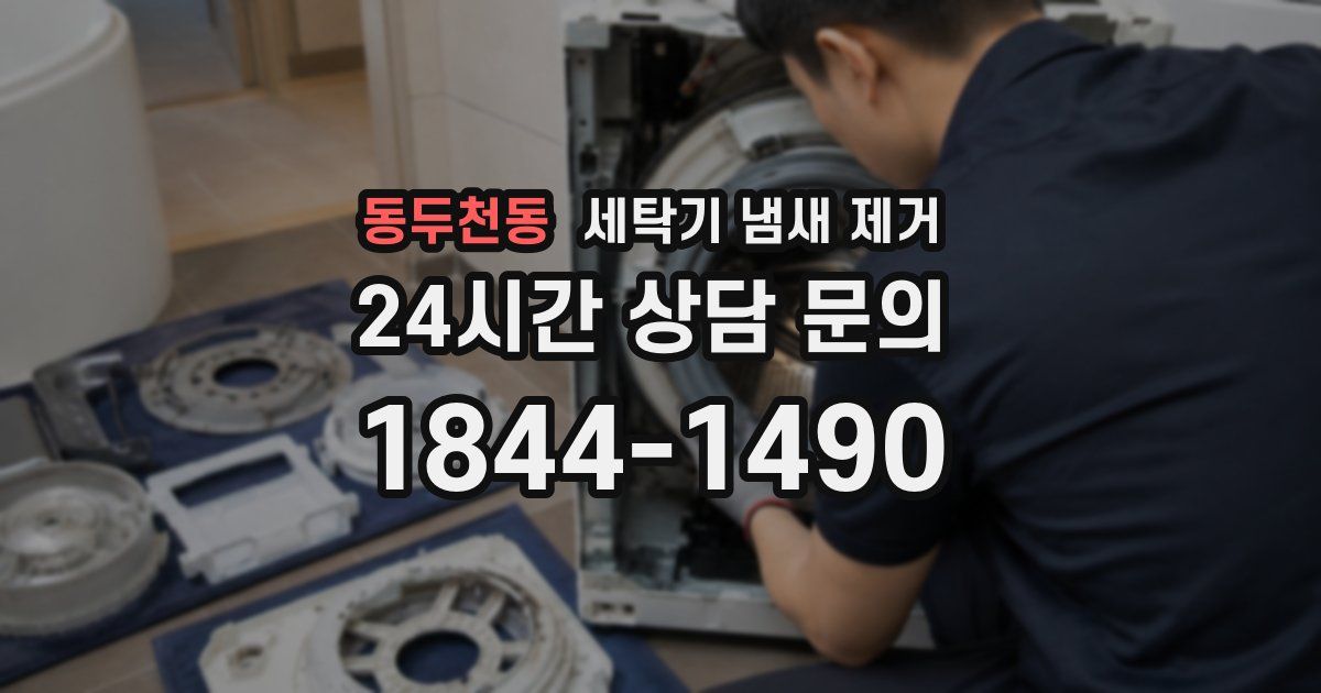 동두천동 세탁기 냄새 제거