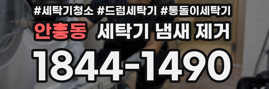 안흥동 세탁기 냄새 제거