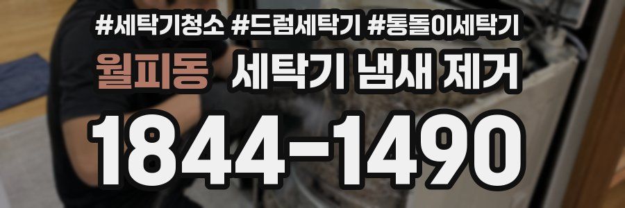 월피동 세탁기 냄새 제거