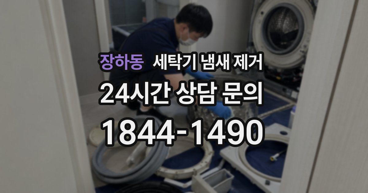 장하동 세탁기 냄새 제거
