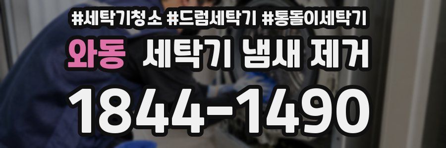 와동 세탁기 냄새 제거