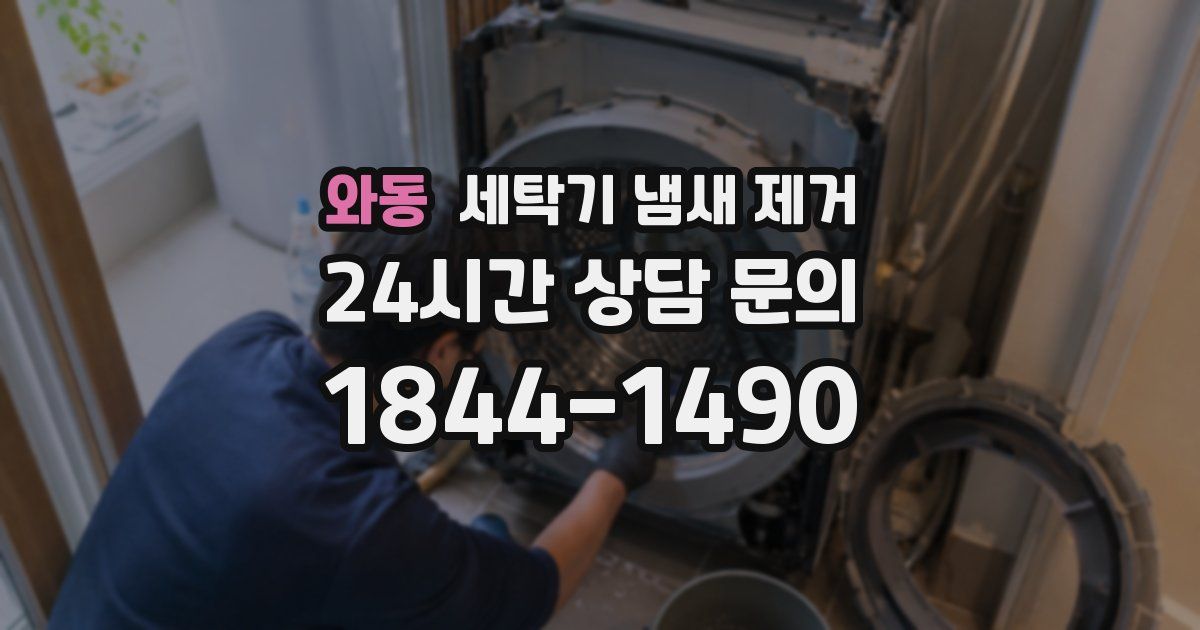 와동 세탁기 냄새 제거