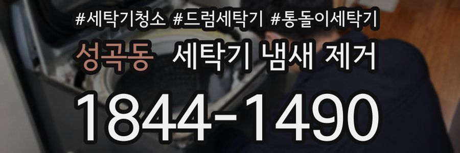 성곡동 세탁기 냄새 제거