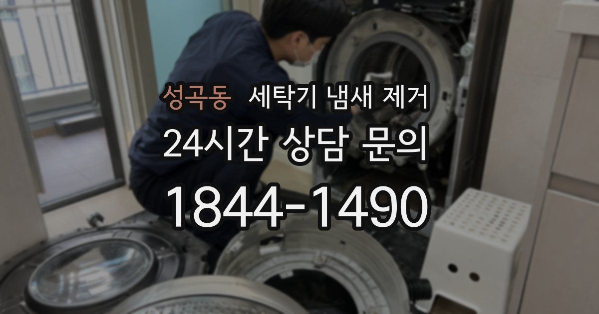 성곡동 세탁기 냄새 제거