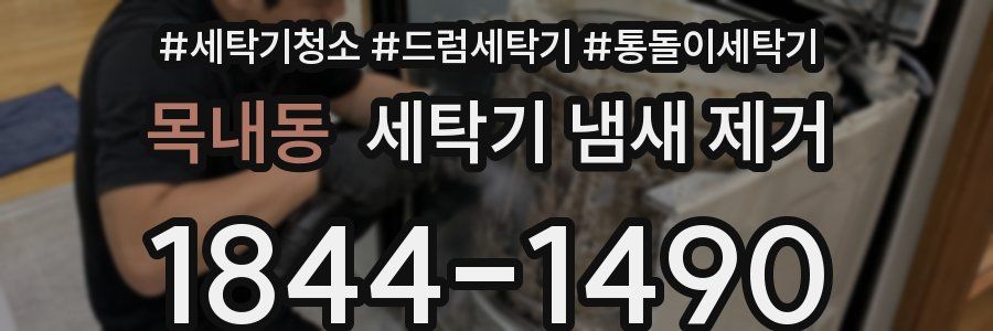 목내동 세탁기 냄새 제거