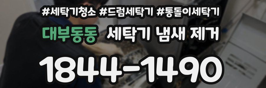 대부동동 세탁기 냄새 제거