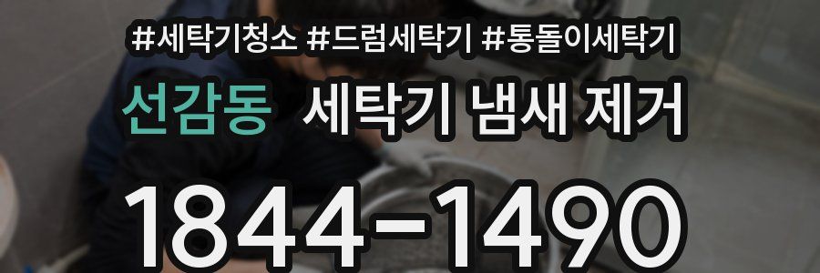 선감동 세탁기 냄새 제거