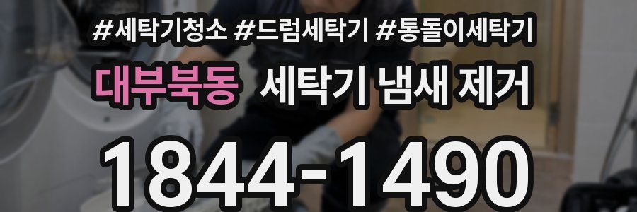 대부북동 세탁기 냄새 제거