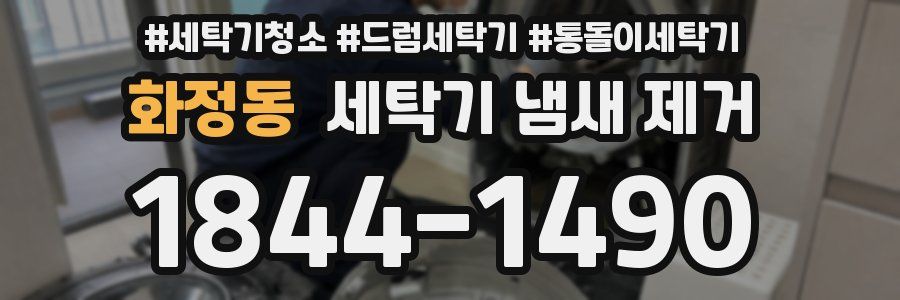 화정동 세탁기 냄새 제거