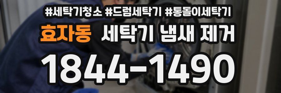 효자동 세탁기 냄새 제거