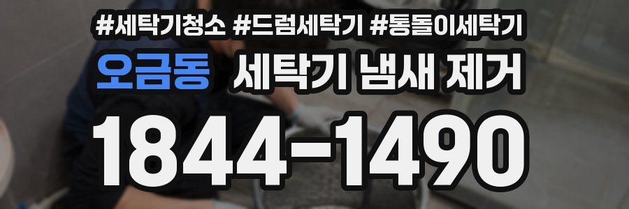 오금동 세탁기 냄새 제거
