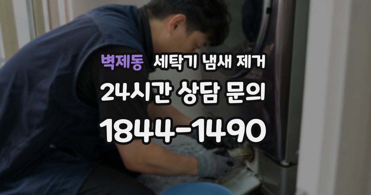 벽제동 세탁기 냄새 제거