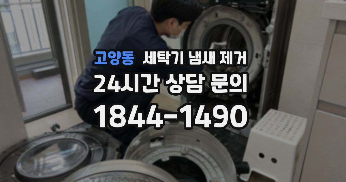 고양동 세탁기 냄새 제거