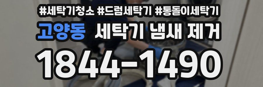 고양동 세탁기 냄새 제거