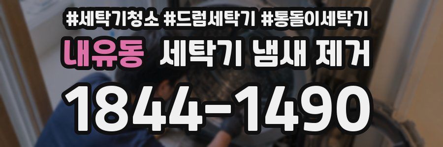 내유동 세탁기 냄새 제거
