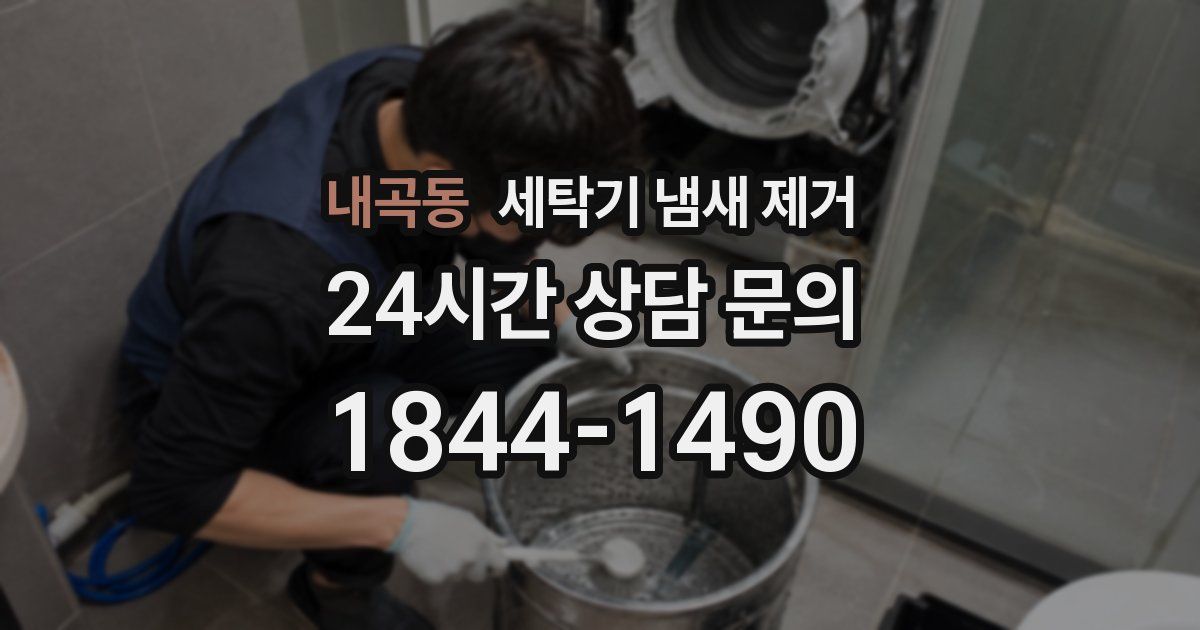 내곡동 세탁기 냄새 제거