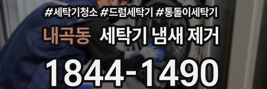내곡동 세탁기 냄새 제거