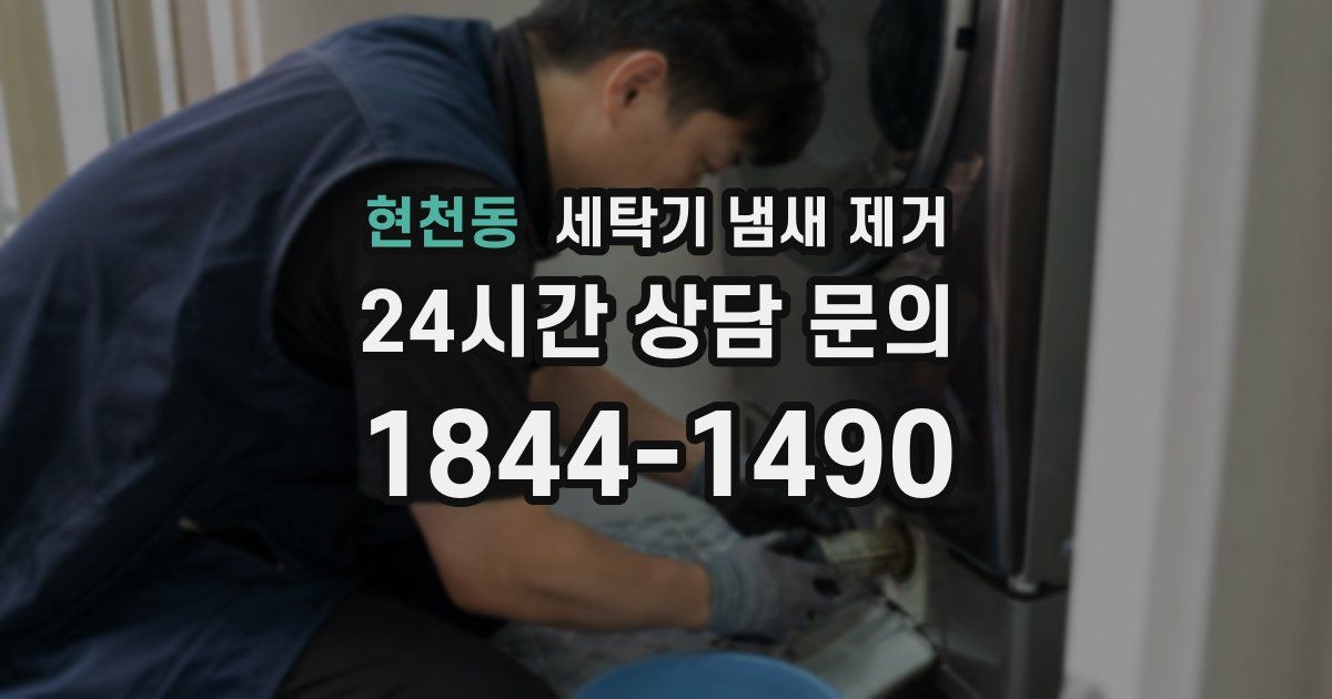현천동 세탁기 냄새 제거