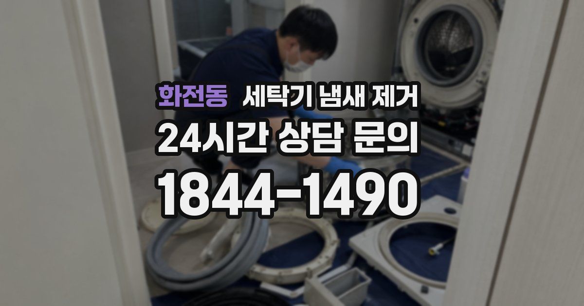 화전동 세탁기 냄새 제거