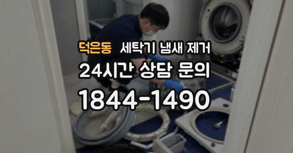 덕은동 세탁기 냄새 제거