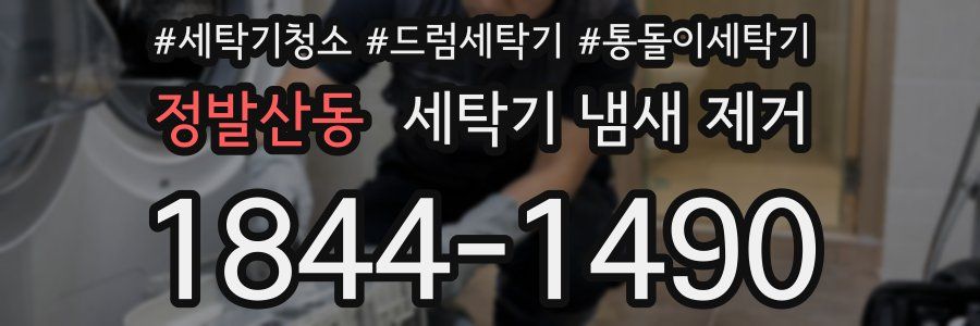 정발산동 세탁기 냄새 제거