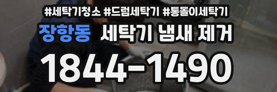 장항동 세탁기 냄새 제거