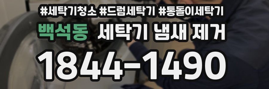 백석동 세탁기 냄새 제거