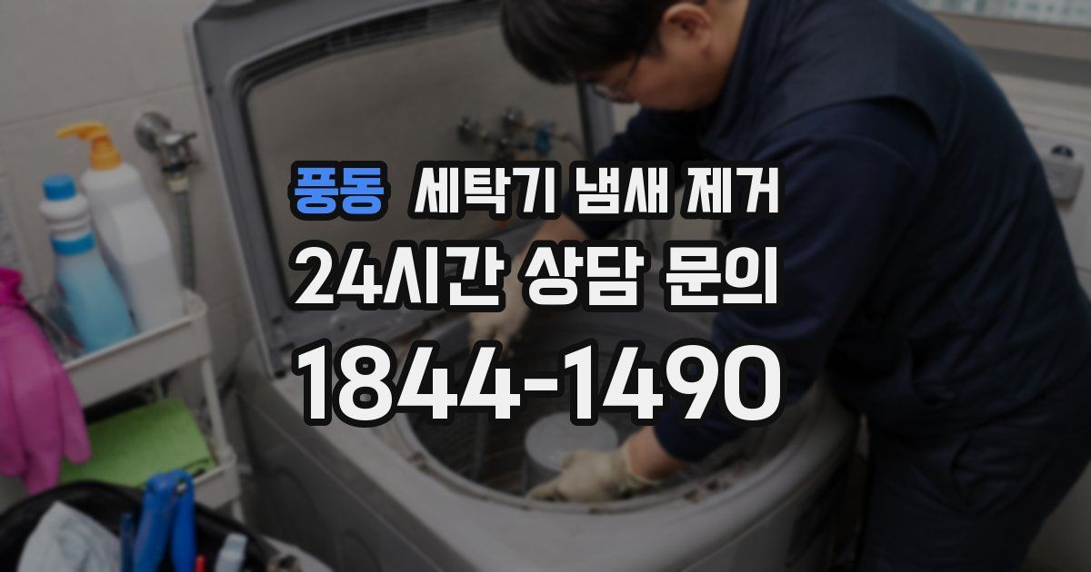 풍동 세탁기 냄새 제거