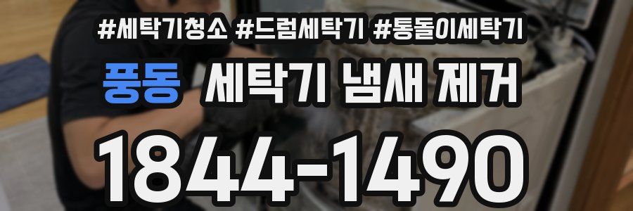 풍동 세탁기 냄새 제거