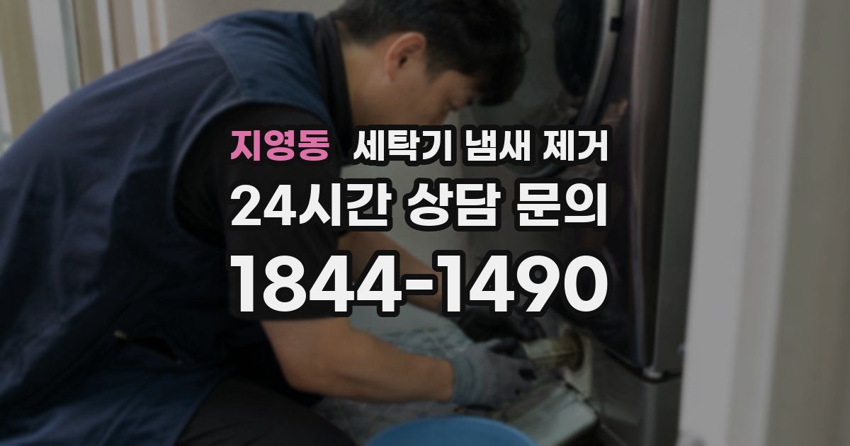 지영동 세탁기 냄새 제거