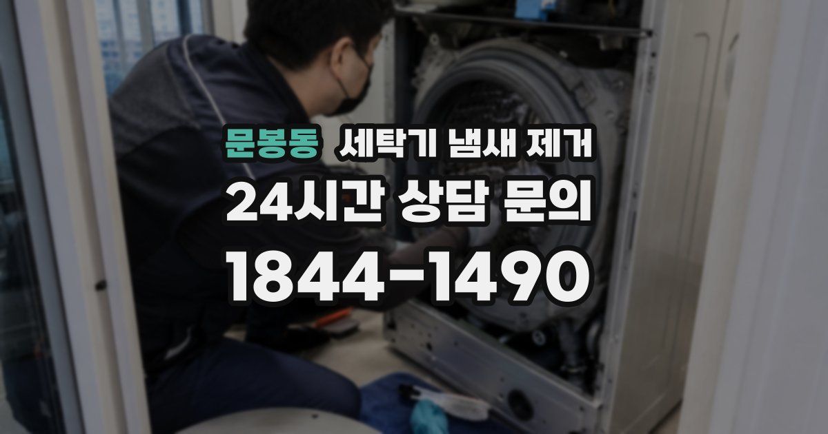 문봉동 세탁기 냄새 제거