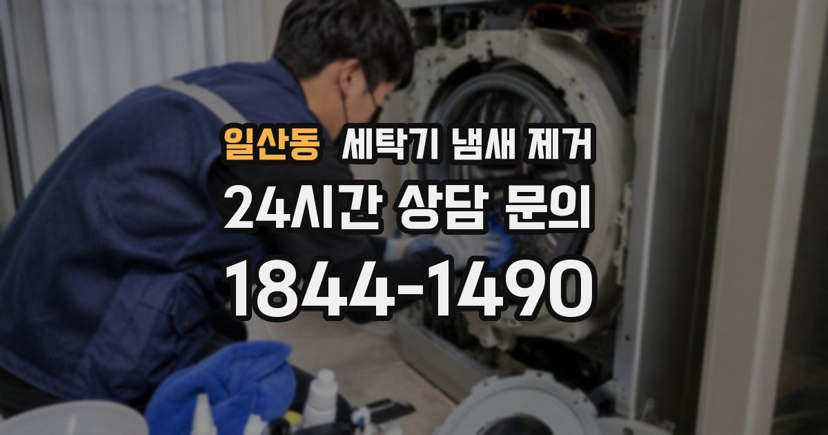 일산동 세탁기 냄새 제거