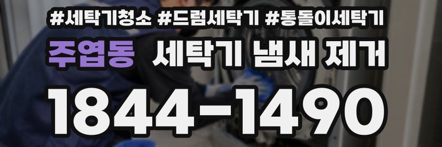 주엽동 세탁기 냄새 제거