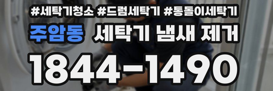 주암동 세탁기 냄새 제거