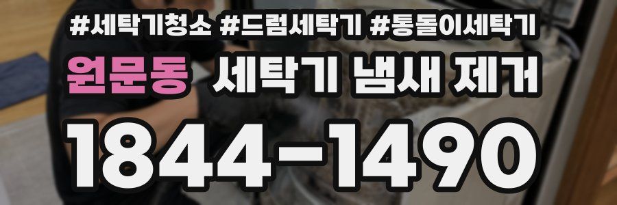원문동 세탁기 냄새 제거