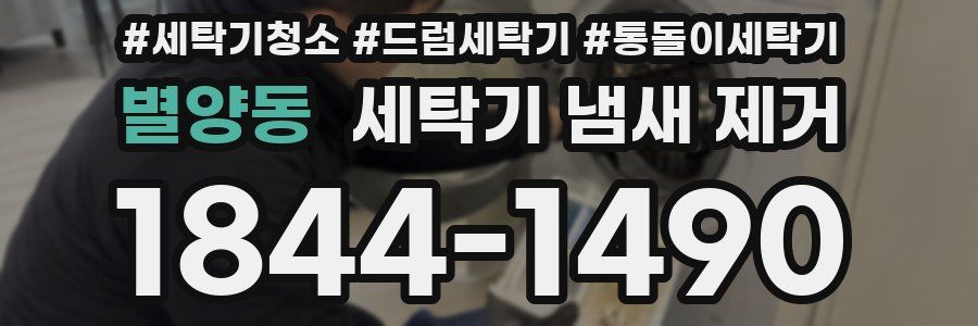 별양동 세탁기 냄새 제거