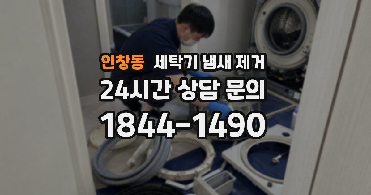 인창동 세탁기 냄새 제거
