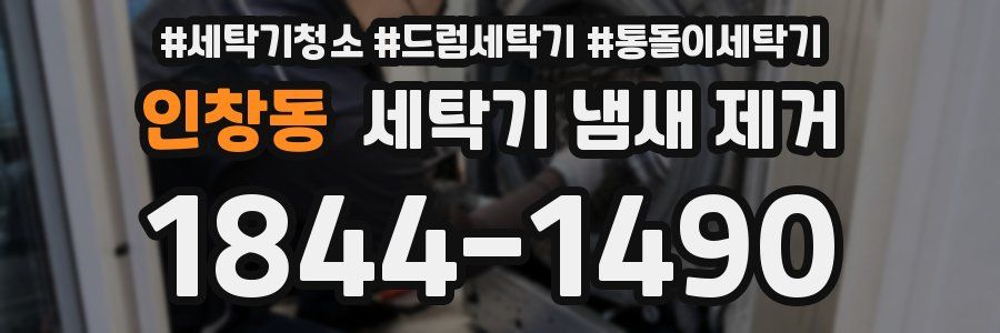 인창동 세탁기 냄새 제거