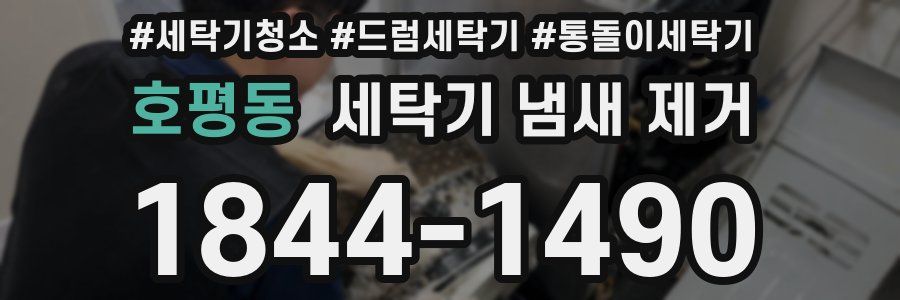 호평동 세탁기 냄새 제거