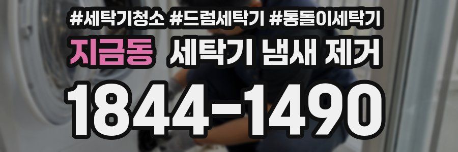 지금동 세탁기 냄새 제거