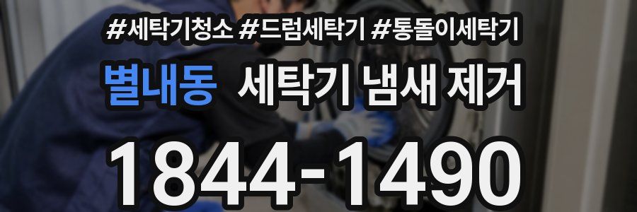 별내동 세탁기 냄새 제거