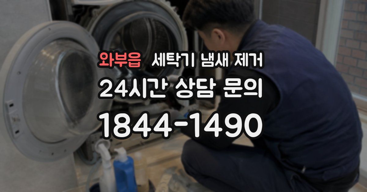 와부읍 세탁기 냄새 제거