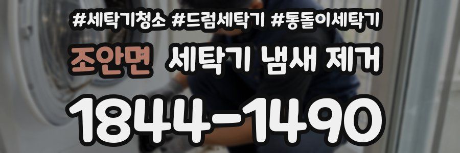 조안면 세탁기 냄새 제거