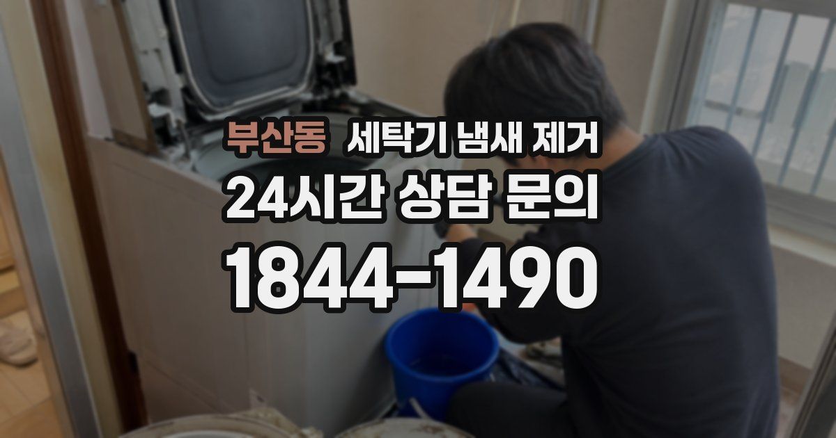 부산동 세탁기 냄새 제거