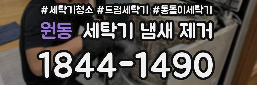 원동 세탁기 냄새 제거