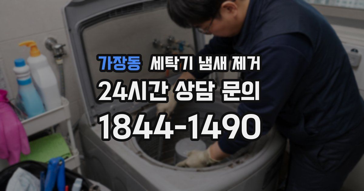 가장동 세탁기 냄새 제거